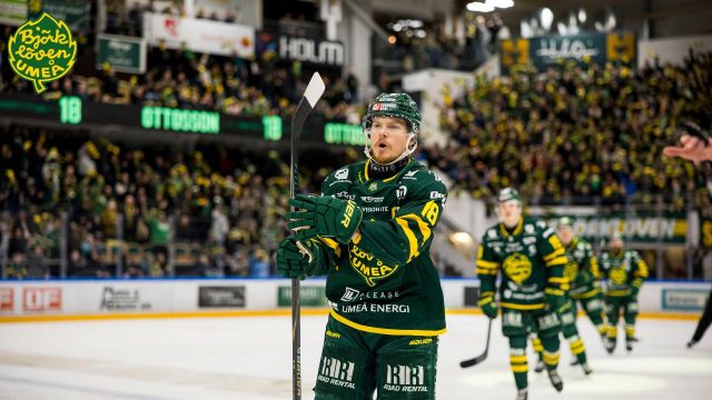 Björklöven-spelare på isen framför publik i Umeå – Björklöven shop öppnar popup-butik i kvarteret Utopia.