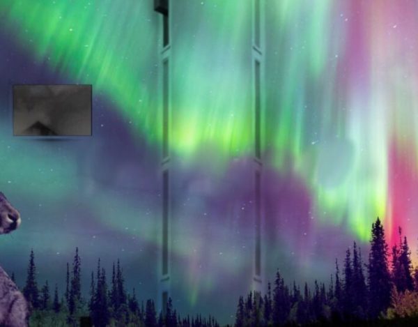 Muralmålning med norrskensmotiv av fotograf Fredrik Larsson.
